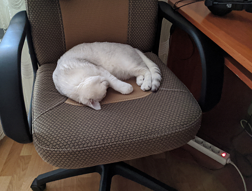 Компьютерное кресло Parma/Парма коричневый велюр фото покупателя 1